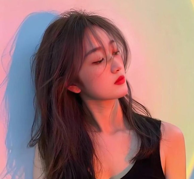 南拳蔡李佛国语